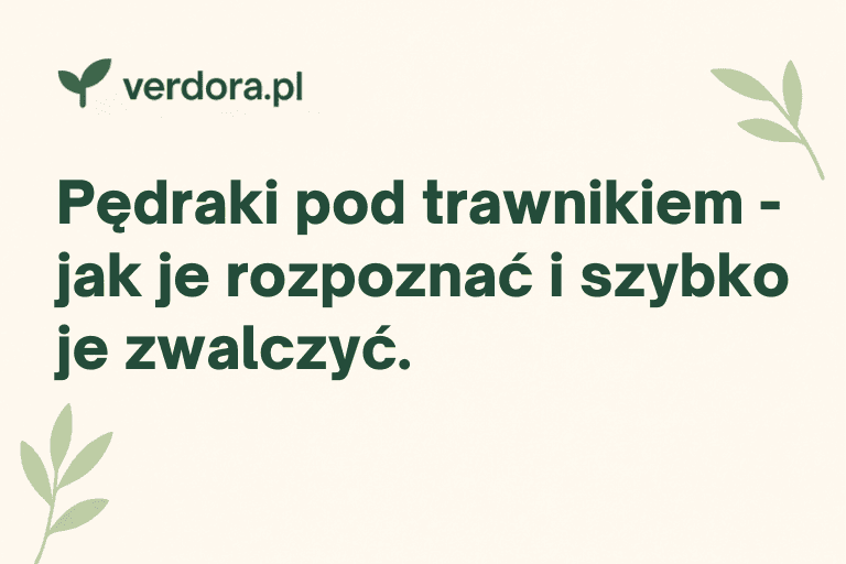 Pędraki pod trawnikiem – jak je rozpoznać i szybko je zwalczyć — Verdora blog ogrodniczy