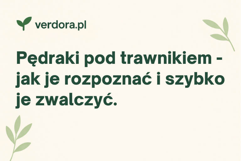 Pędraki pod trawnikiem – jak je rozpoznać i szybko je zwalczyć