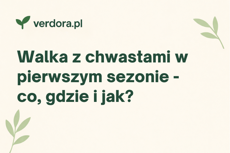Walka z chwastami w pierwszym sezonie – co, gdzie i jak?